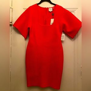 Herve Leger Paris dress